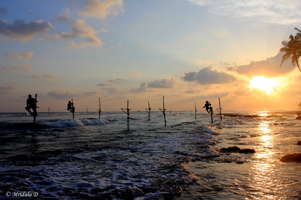 Stick Fishing, Sri Lanka