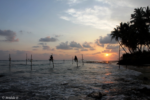 Stilt Fishing, Sri Lanka