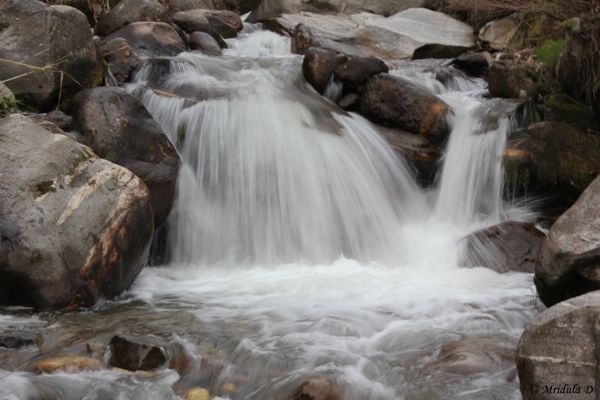 A Waterfall near Prini, Himachal Pradesh