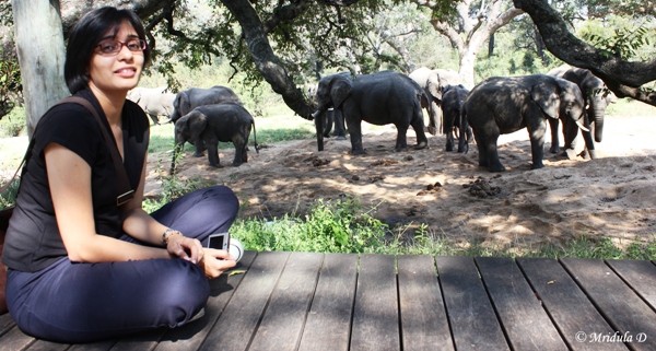 Up Close with Elephants at Tintswalo Safari Lodge, South Africa