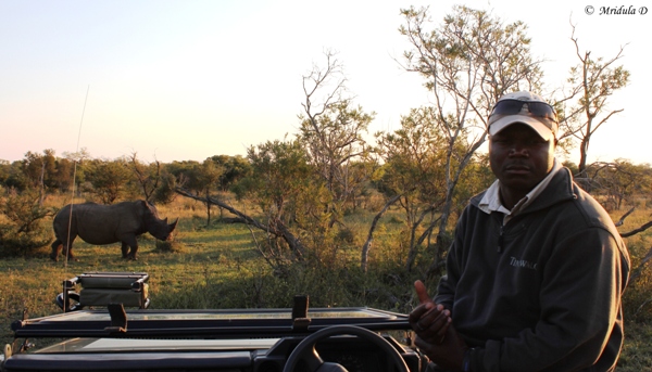 A Rhino Sighting up Close, Manyeleti Game Reserve, South Africa