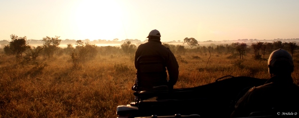 The Beautiful South African Bush