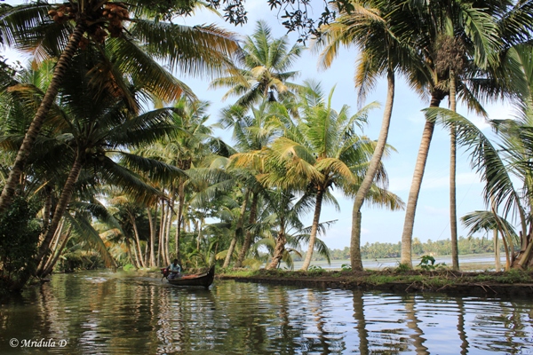 Beautiful Kerala Backwaters