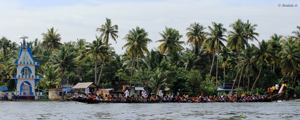 Practicsing for the Boat Race, Alleppey, Kerala