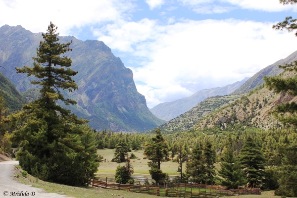 View on the Trek, from Chame to Pisang, Annapurna Circuit Trek, Nepal