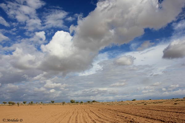 A Ploughed Filed, Jaisalmer, Rajasthan