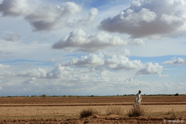 A Villager Walks by his Fields, Jaisalmer