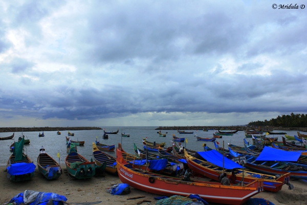 Chettanam Fishing Harbour, Kerala