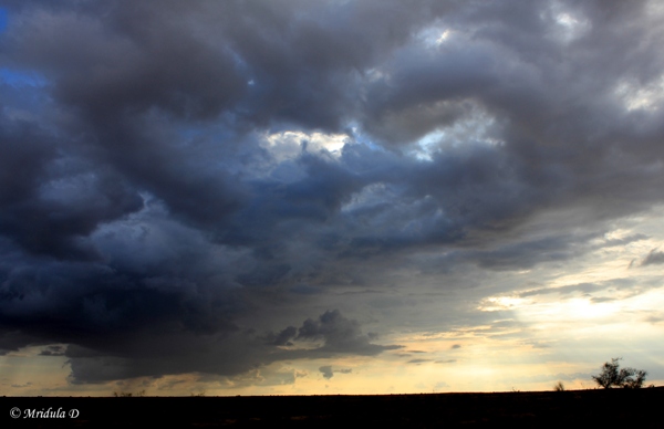 Monsoon Magic with Suryagarh, Jaisalmer - Travel Tales from India and Abroad