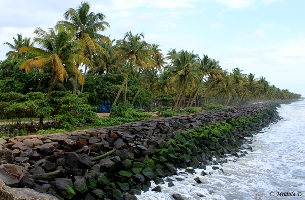 The Shore near Chettanam Fishing Harbour, Kerala