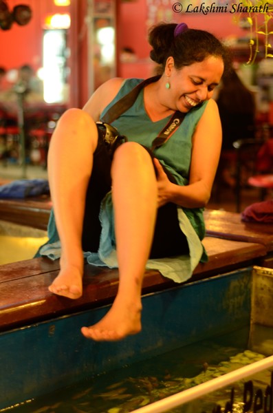 The Fish Pedicure, The Pub Street, Siem Reap, Cambodia