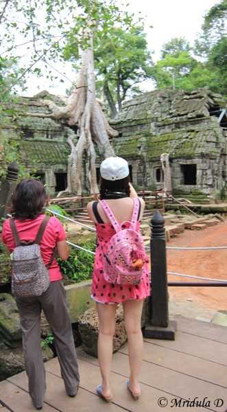 Tourists at Ta Prohm, Cambodia