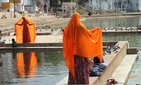 Flaming Orange at Pushkar Lake, Rajasthan