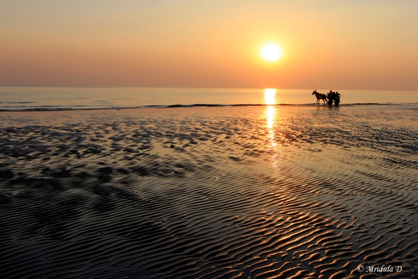 Mandvi Beach, Gujarat