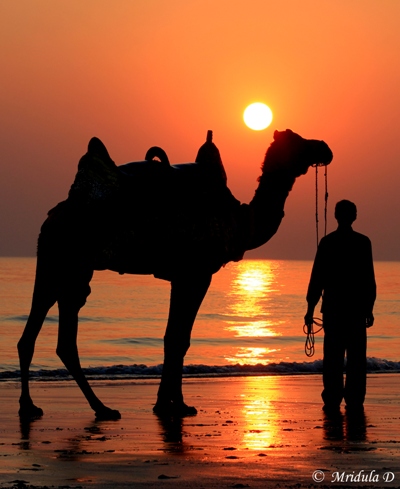 The Sunset at the mandvi Beach, Gujarat