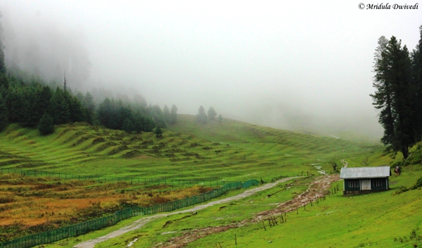 Gulmarg on a rainy day, Kashmir, India