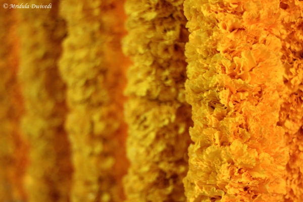 Marigold Flowers, Bangkok Flower Market