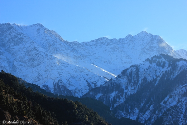 dhauladhar-mountains