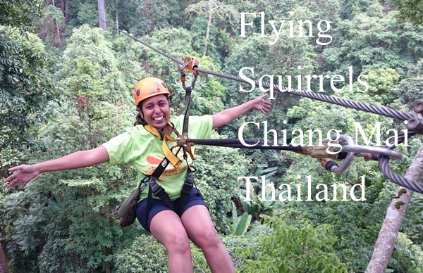 flying-squirrels-chaing-mai