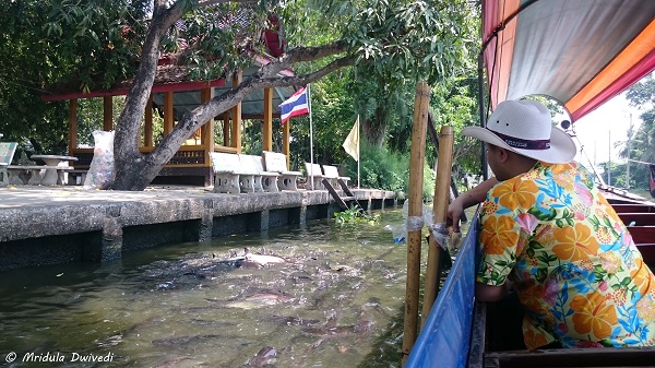 feeding-fish-bangkok-canal-tour