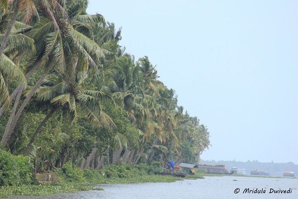 backwaters-kerala