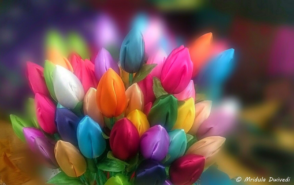 tulips