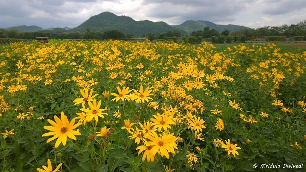 thailand