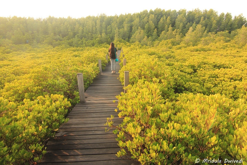 tung-prong-tong-rayong