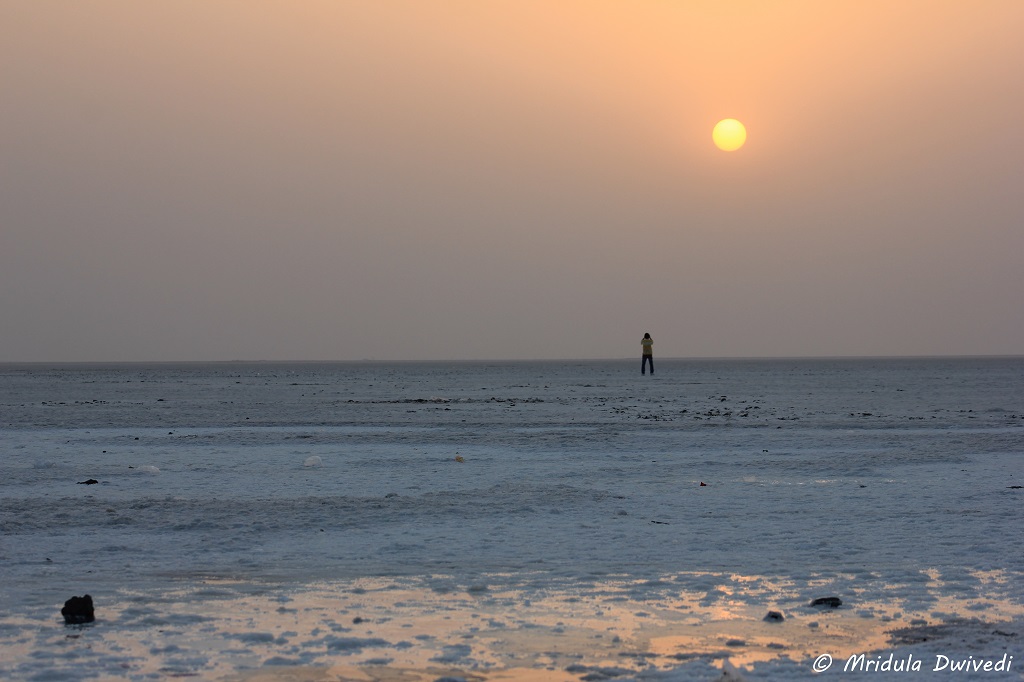 Great Rann of Kutch