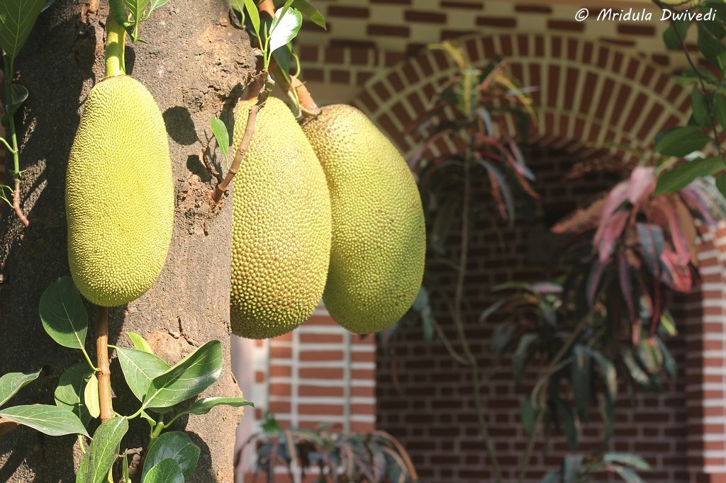 kairali-ayurvedic-resort