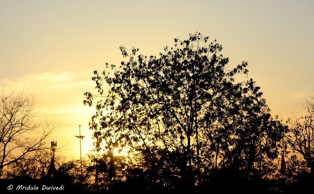 sunset-jaipur