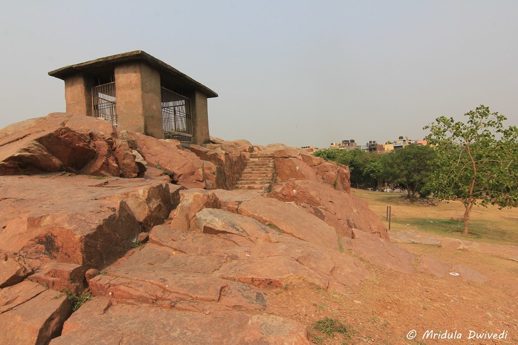 ugly-protection-ashoka-rock-edict-delhi