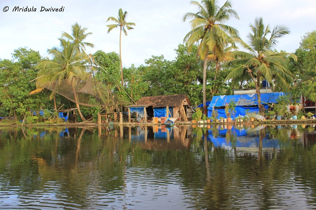 backwaters-monsoon-kerala