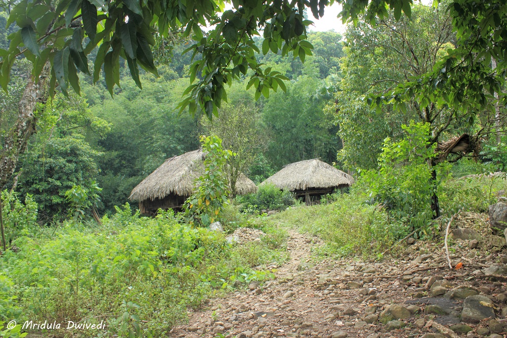 roing-village-near-pasighat