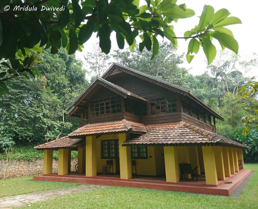 mackenzie-suite-pepper-trail-wayanad