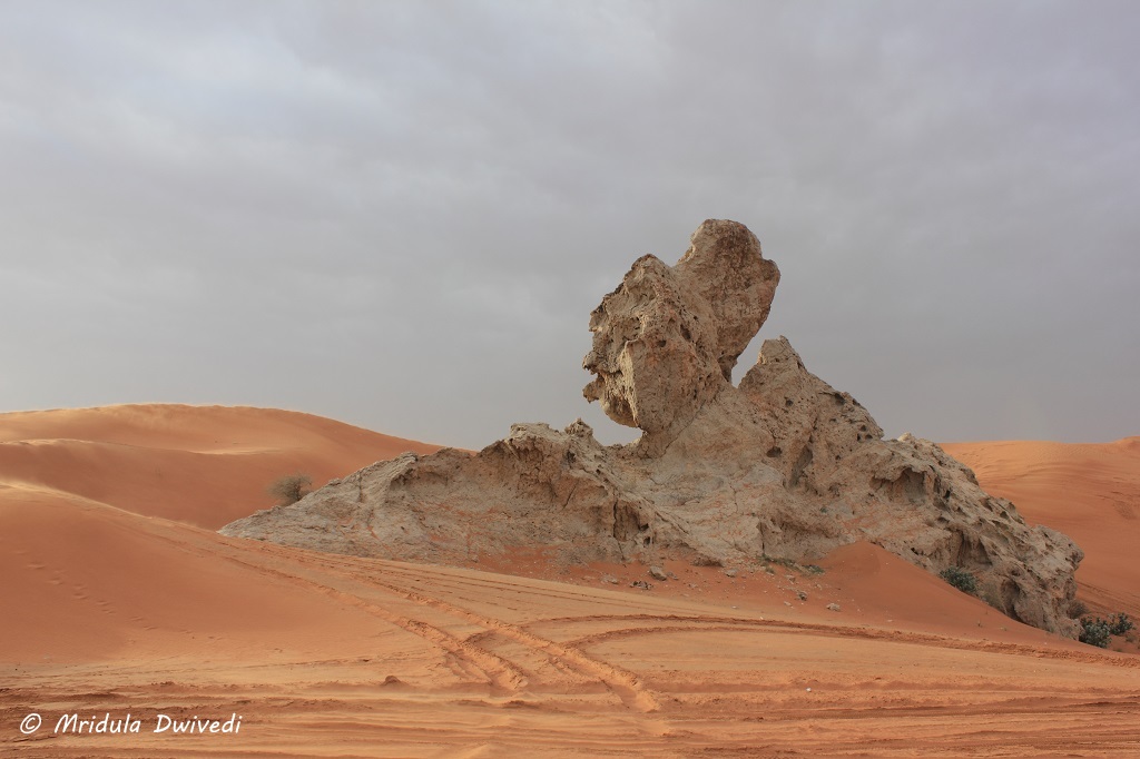 camel-rock-sharjah