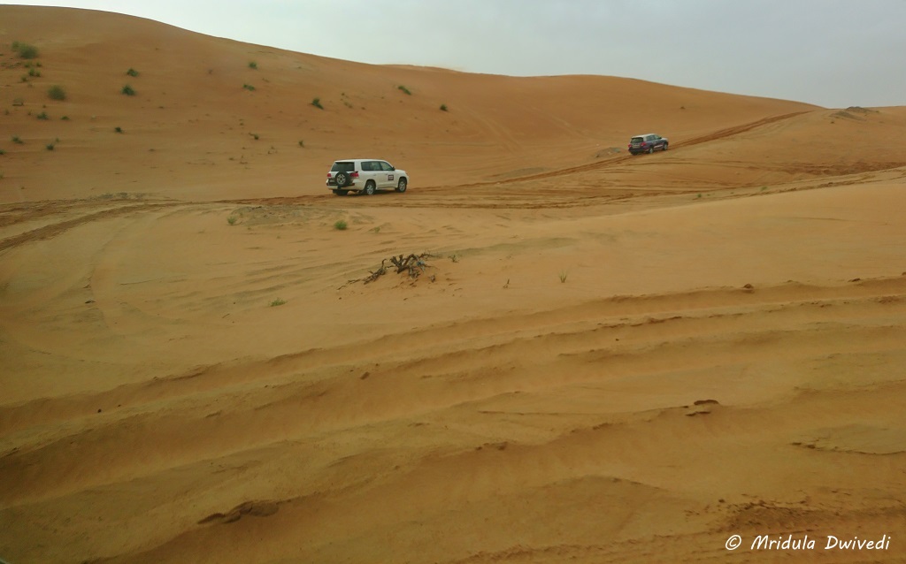 desert-safari-UAE