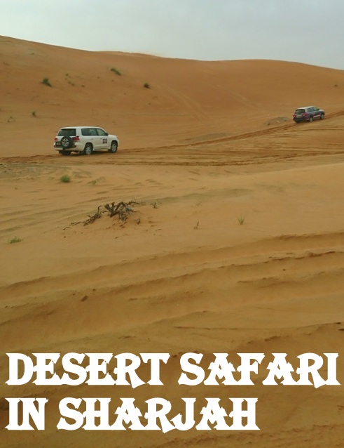 desert-safari-sharjah