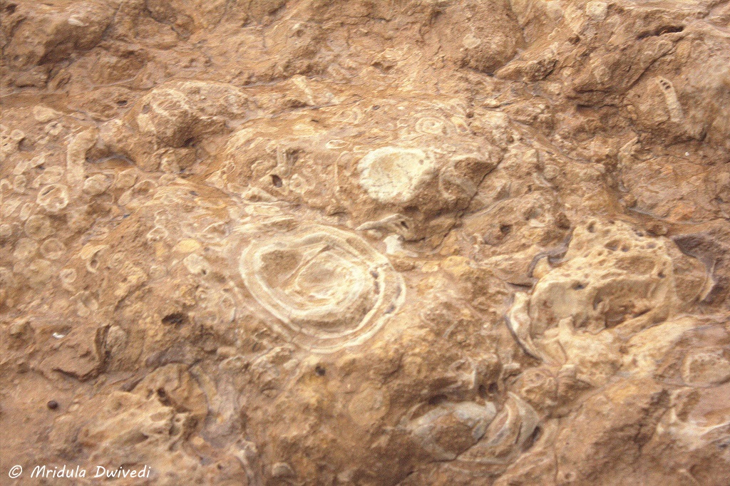 fossil-rock-desert-safari-sharjah