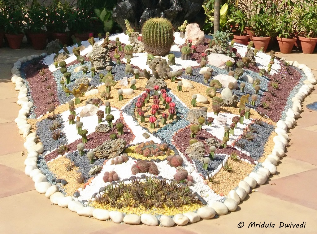 cactus-mughal-garden-delhi