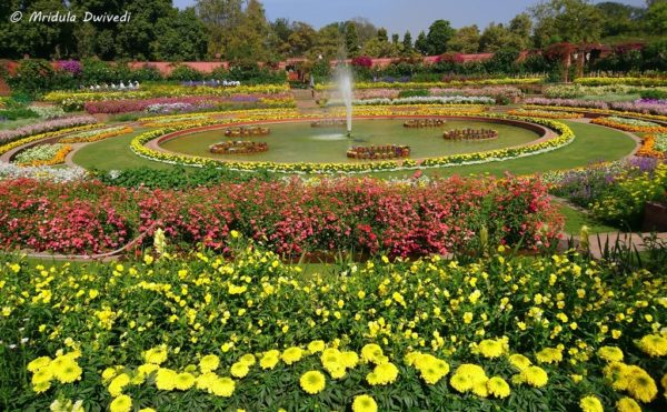 The Mughal Gardens at the Rashtrapati Bhawan, Delhi – Travel Tales from ...