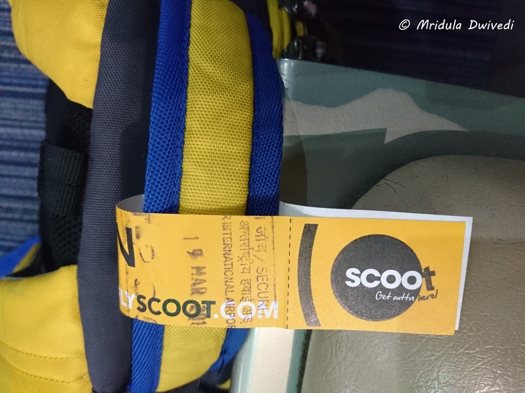 scoot-jaipur-singapore