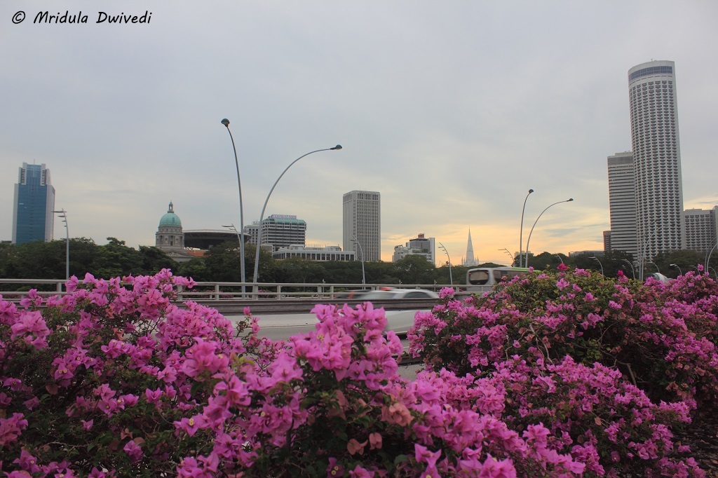 flowers-singapore