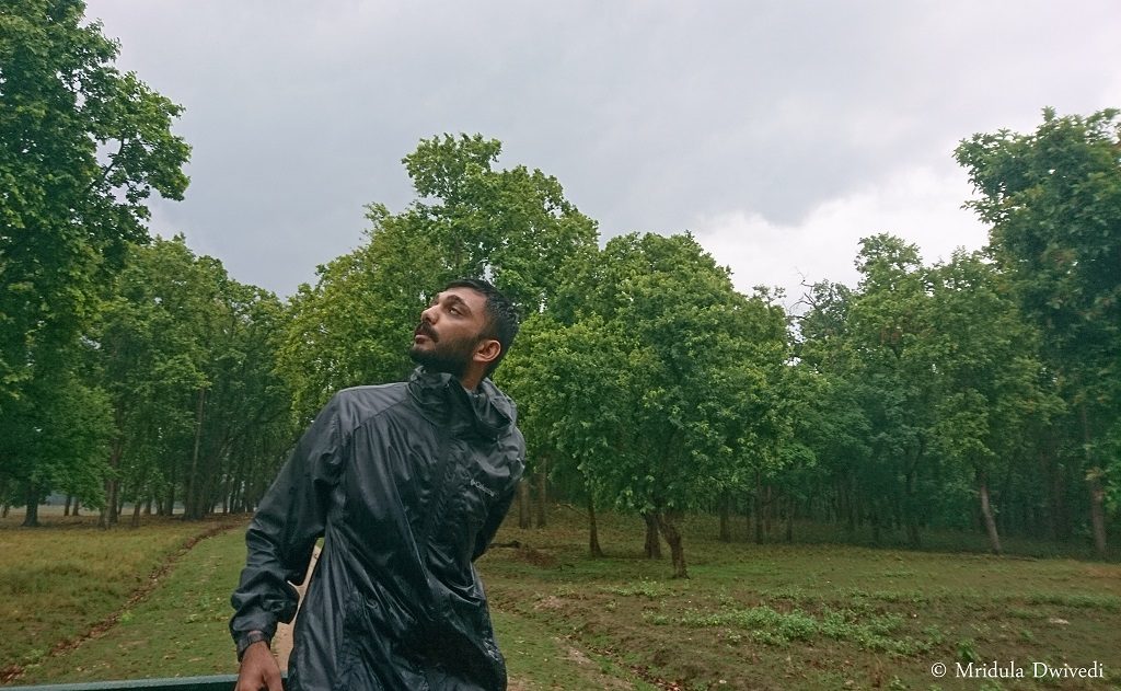 parth-naturalist-taj-safari