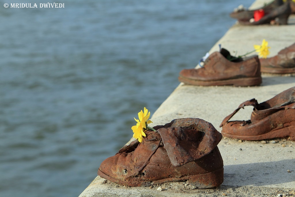 Shoes By Danube