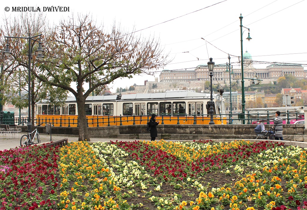 trams-budapest