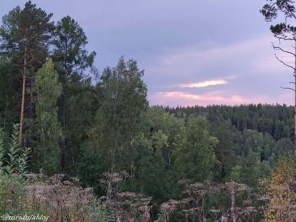 bobrovy-log-fun-park-krasnoyarsk-siberia