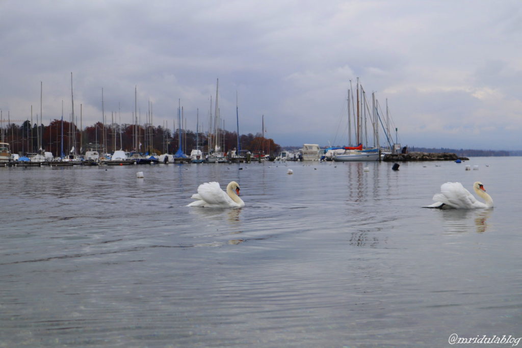 lake geneva in switzerland