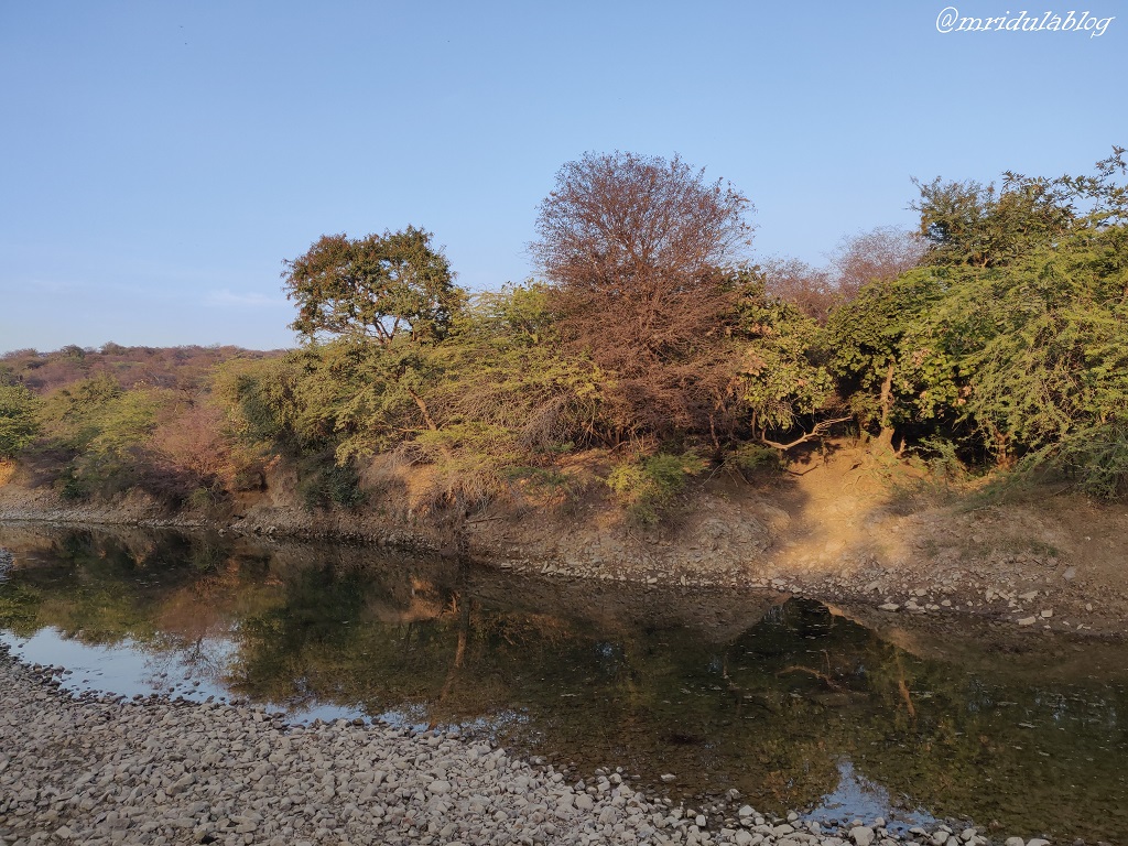 Ranthambore National Park