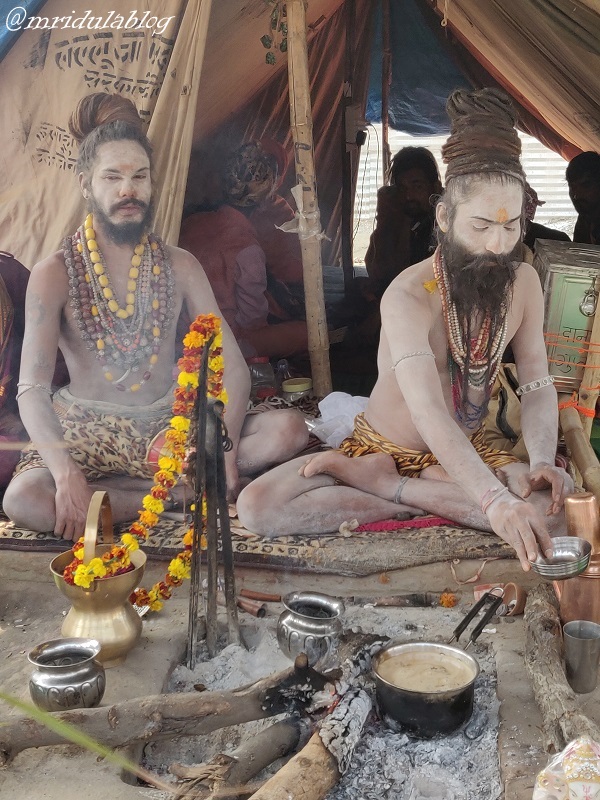 naga sadhus making tea at their tent at prayagraj Kumbh mela